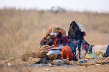 Pushkar, Rajasthan, Hindistan - 25 Kasım 2023: Kış sabahı Pushkar Deve Fuarı