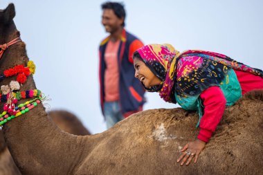 Pushkar, Rajasthan, Hindistan - 25 Kasım 2023: Kış sabahı Pushkar Deve Fuarı