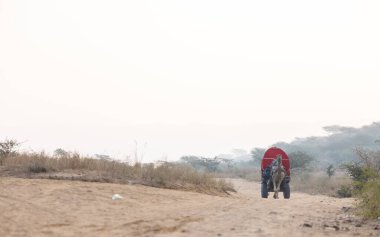 Puşkar, Rajasthan, Hindistan - 25 Kasım 2023: Deve Fuarı, Deve Arabası Turistleri fuardaki deve fuarı sırasında renkli arabalarla geziyorlar.