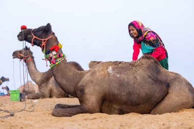 Pushkar, Rajasthan, Hindistan - 25 Kasım 2023: Kış sabahı Pushkar Deve Fuarı
