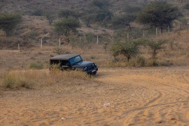 Pushkar, Rajasthan, Hindistan - 25 Kasım 2023: Pushkar 'ın Thar çölünde maceralı araba yarışı için 4 * 4 çingene. 