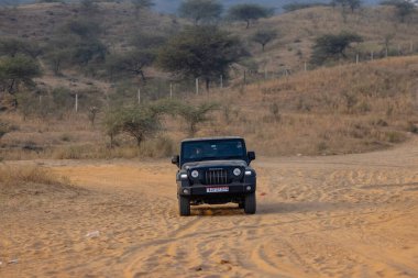 Pushkar, Rajasthan, Hindistan - 25 Kasım 2023: Pushkar 'ın Thar çölünde maceralı araba yarışı için 4 * 4 çingene. 