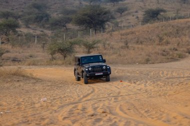 Pushkar, Rajasthan, Hindistan - 25 Kasım 2023: Pushkar 'ın Thar çölünde maceralı araba yarışı için 4 * 4 çingene. 