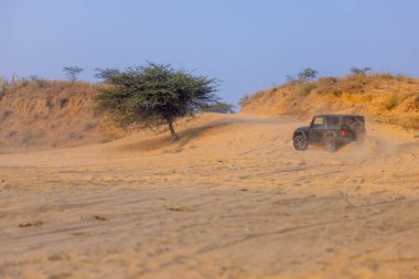 Pushkar, Rajasthan, Hindistan - 25 Kasım 2023: Pushkar 'ın Thar çölünde maceralı araba yarışı için 4 * 4 çingene. 