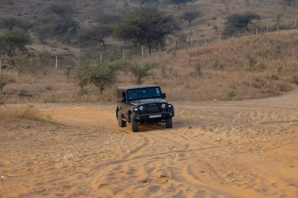 Stock image Pushkar, Rajasthan, India - November 25 2023: An 4*4 gypsy riding on the Thar desert of Pushkar for adventure car rally. 