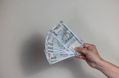 Çeşitli Hint para birimi notlarının yakın görüntüsü