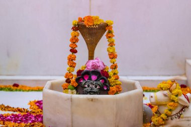 Shivling ya da shiv lingam Lord Shiv 'e tapınmak için renkler ve çiçeklerle süslenmiş. Seçici odak.