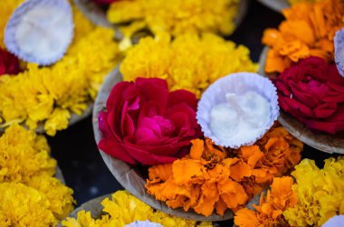 Onam ve Diwali festivali için çiçek sınır süslemesi