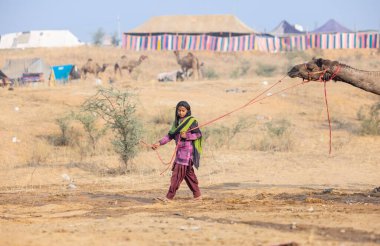 Pushkar, Rajasthan, Hindistan - 25 Kasım 2023: Kış sabahı Pushkar Deve Fuarı