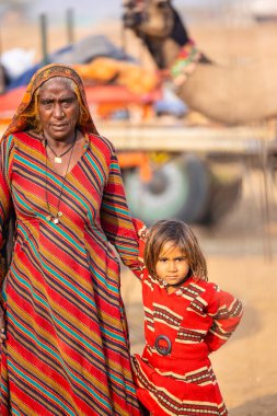 Pushkar, Rajasthan, Hindistan - 25 Kasım 2023: Pushkar Deve Fuarı 'nda kış sabahı deve taşıyan renkli geleneksel deve taşıyan Hintli yaşlı bir kadının portresi.