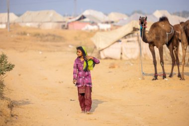 Pushkar, Rajasthan, Hindistan - 25 Kasım 2023: Pushkar Deve Fuarı 'nda kış sabahı deve taşıyan renkli geleneksel deve taşıyan Hintli yaşlı bir kadının portresi.