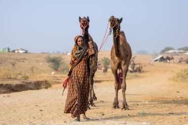 Pushkar, Rajasthan, Hindistan - 25 Kasım 2023: Pushkar Deve Fuarı 'nda kış sabahı deve taşıyan renkli geleneksel deve taşıyan Hintli yaşlı bir kadının portresi.