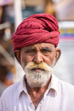 Puşkar, Rajasthan, Hindistan - 25 Kasım 2023: Puşkar Fuarı, Rajasthani 'li yaşlı bir erkeğin portresi geleneksel elbise ve renkli türbanlı bir adam.