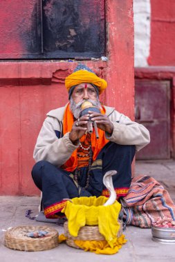 Kimliği belirsiz yaşlı bir yılan oynatıcısının portresi Varanasi şehrinde yılanla nehir kenarında gösteri yapıyor ve turistleri kendine çekiyor.