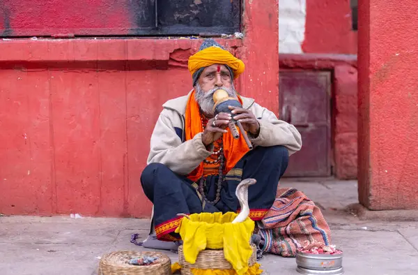 Kimliği belirsiz yaşlı bir yılan oynatıcısının portresi Varanasi şehrinde yılanla nehir kenarında gösteri yapıyor ve turistleri kendine çekiyor.