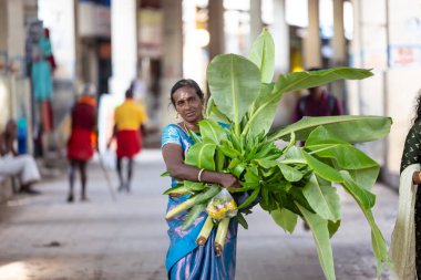 Thiruchendur, Tamilnadu, Hindistan - 10 Ekim 2024: Kulasai Dasara, ellerinde muz yaprağı ile tapınağa doğru yürüyen Hintli dindar portresi.