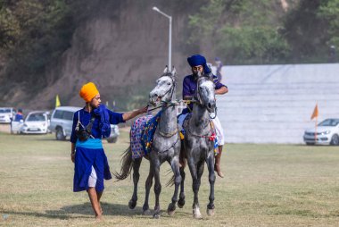 Anandpur Sahib, Punjab, Hindistan - 19 Mart 2022: Hola Mohalla festivali sırasında Hola Mohalla kutlamaları sırasında bir grup sikh insan (Nihang Sardar) Holi festivali sırasında Anandpur Sahib sokaklarında. Seçili odak.