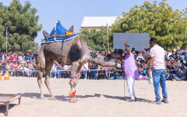 Bikaner, Rajasthan, Hindistan - 14 Ocak 2023: Bikaner Deve Festivali, kum tepelerinde deve dansı 