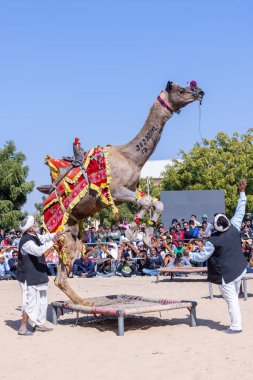 Bikaner, Rajasthan, Hindistan - Ocak 2023: Deve Festivali Bikaner, deve festivali sırasında bikaner 'in kum tepelerinde deve dansı yaptı. Deve dansı en önemli eğlencedir..