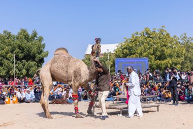 Bikaner, Rajasthan, Hindistan - Ocak 2023: Deve Festivali Bikaner, deve festivali sırasında bikaner 'in kum tepelerinde deve dansı yaptı. Deve dansı en önemli eğlencedir..