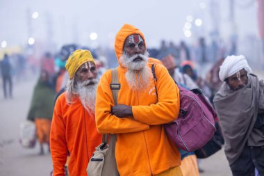 Prayagraj, Uttar Pradesh, Hindistan - 13 Ocak 2025: Mahakumbh, Sangam 'da Ganga nehrine kutsal dalış yapmak ve ibadet etmek için maha kumbh mela' ya katılan kutsal erkek sadhu baba portresi.