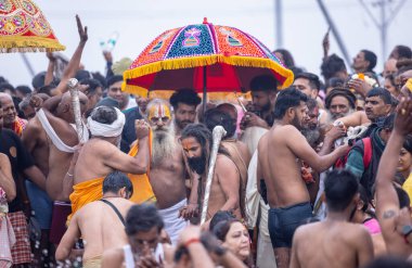 Prayagraj, Uttar Pradesh, Hindistan - Ocak 2025: Mahakumbh, Mahakumbh, kutsal erkek sadhu baba grubu makar sankranti amrit snaan sırasında Ganga nehrinde kutsal dalış yapıyor.