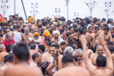 Prayagraj, Uttar Pradesh, India - January 2025: Mahakumbh, Group of holy male sadhu baba taking holy dip at sangam in river ganga during the makar sankranti amrit snaan at mahakumbh in prayagraj. clipart