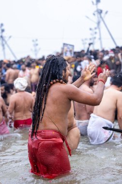 Prayagraj, Uttar Pradesh, India - January 2025: Mahakumbh, Group of holy male sadhu baba taking holy dip at sangam in river ganga during the makar sankranti amrit snaan at mahakumbh in prayagraj. clipart