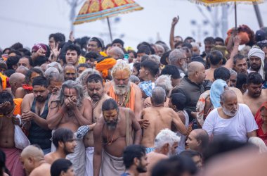 Prayagraj, Uttar Pradesh, India - January 2025: Mahakumbh, Group of holy male sadhu baba taking holy dip at sangam in river ganga during the makar sankranti amrit snaan at mahakumbh in prayagraj. clipart