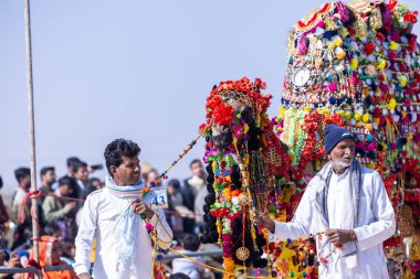 Bikaner, Rajasthan, Hindistan - 14 Ocak 2023: Deve Festivali Bikaner, deve festivali sırasında bikaner 'in kum tepelerinde deve dansı yaparak deve dansı yaptı. Deve dansı en önemli eğlencedir..