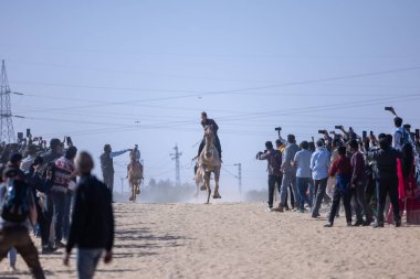Bikaner, Rajasthan, Hindistan - 14 Ocak 2023: Deve Festivali Bikaner, deve festivali sırasında bikaner 'in kum tepelerinde deve dansı yaparak deve dansı yaptı. Deve dansı en önemli eğlencedir..