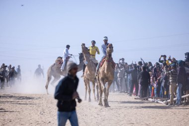 Bikaner, Rajasthan, Hindistan - 14 Ocak 2023: Deve Festivali Bikaner, deve festivali sırasında bikaner 'in kum tepelerinde deve dansı yaparak deve dansı yaptı. Deve dansı en önemli eğlencedir..