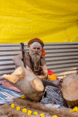 Prayagraj, Uttar Pradesh, Hindistan - 13 Ocak 2025: Mahakumbh, Mahakumbh, kutsal erkek naga sadhu baba grubu, Sangam 'daki kutsal nehir kenevirine ibadet etmek için Pagraj' da maha kumbh mela 'ya katılıyor..