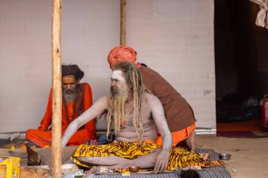 Prayagraj, Uttar Pradesh, Hindistan - 13 Ocak 2025: Mahakumbh, Kutsal erkek naga sadhu baba 'nın Sangam' daki kutsal nehir kenevirine ibadet etmek için Pagraj 'da maha kumbh mela' ya katılan portresi.