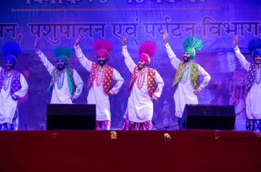 Bikaner, Rajasthan, Hindistan - 14 Ocak 2023: Punjab 'dan bir grup Punjab sanatçısı bikaner deve festivalinde geleneksel renkli elbiseler içinde bhangra dansı yapıyorlar.