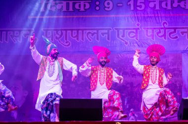 Pushkar, Rajasthan, Hindistan - 11 Kasım 2024: Bhangra, Sih erkek sanatçılar grubu renkli etnik elbiseler içinde bhangra dansı yapıyorlar..