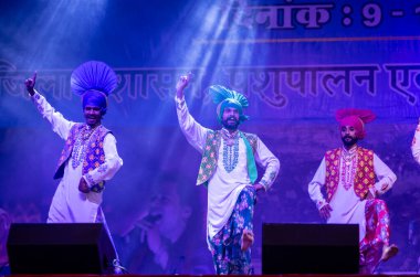 Puşkar, Rajasthan, Hindistan - 11 Kasım 2024: Bhangra, Bhangra grubu, açık hava kültür gecesi renkli etnik elbiseler içinde bhangra dansı yapıyor.