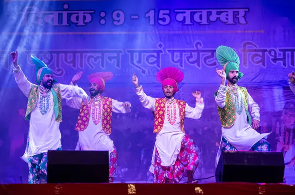 Pushkar, Rajasthan, Hindistan - 11 Kasım 2024: Bhangra, Sih erkek sanatçılar grubu renkli etnik elbiseler içinde bhangra dansı yapıyorlar..