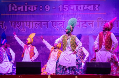 Pushkar, Rajasthan, Hindistan - 11 Kasım 2024: Bhangra, Sih erkek sanatçılar grubu renkli etnik elbiseler içinde bhangra dansı yapıyorlar..