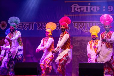 Pushkar, Rajasthan, Hindistan - 11 Kasım 2024: Bhangra, Sih erkek sanatçılar grubu renkli etnik elbiseler içinde bhangra dansı yapıyorlar..