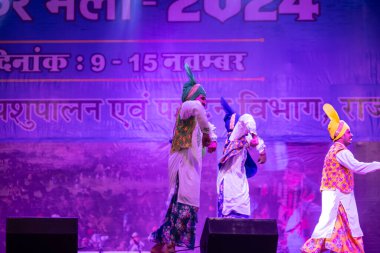 Puşkar, Rajasthan, Hindistan - 11 Kasım 2024: Bhangra, Bhangra grubu, açık hava kültür gecesi renkli etnik elbiseler içinde bhangra dansı yapıyor.