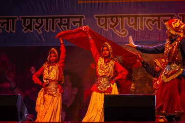 Puşkar, Rajasthan, Hindistan - 11 Kasım 2024: Bhangra, Bhangra grubu, açık hava kültür gecesi renkli etnik elbiseler içinde bhangra dansı yapıyor.