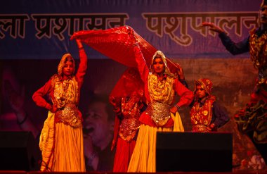 Puşkar, Rajasthan, Hindistan - 11 Kasım 2024: Bhangra, Bhangra grubu, açık hava kültür gecesi renkli etnik elbiseler içinde bhangra dansı yapıyor.