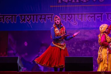 Puşkar, Rajasthan, Hindistan - 11 Kasım 2024: Bhangra, Bhangra grubu, açık hava kültür gecesi renkli etnik elbiseler içinde bhangra dansı yapıyor.