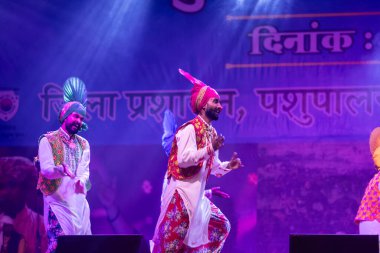 Puşkar, Rajasthan, Hindistan - 11 Kasım 2024: Bhangra, Bhangra grubu, açık hava kültür gecesi renkli etnik elbiseler içinde bhangra dansı yapıyor.