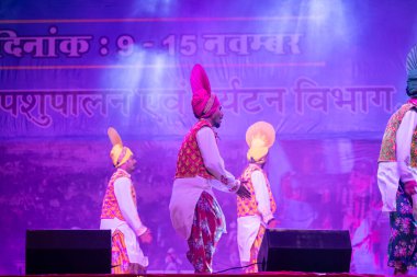 Puşkar, Rajasthan, Hindistan - 11 Kasım 2024: Bhangra, Bhangra grubu, açık hava kültür gecesi renkli etnik elbiseler içinde bhangra dansı yapıyor.