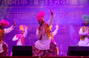 Puşkar, Rajasthan, Hindistan - 11 Kasım 2024: Bhangra, Bhangra grubu, açık hava kültür gecesi renkli etnik elbiseler içinde bhangra dansı yapıyor.