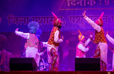 Puşkar, Rajasthan, Hindistan - 11 Kasım 2024: Bhangra, Bhangra grubu, açık hava kültür gecesi renkli etnik elbiseler içinde bhangra dansı yapıyor.