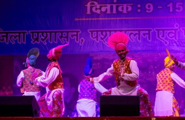 Puşkar, Rajasthan, Hindistan - 11 Kasım 2024: Bhangra, Bhangra grubu, açık hava kültür gecesi renkli etnik elbiseler içinde bhangra dansı yapıyor.