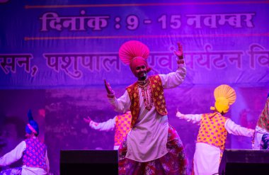 Puşkar, Rajasthan, Hindistan - 11 Kasım 2024: Bhangra, Bhangra grubu, açık hava kültür gecesi renkli etnik elbiseler içinde bhangra dansı yapıyor.
